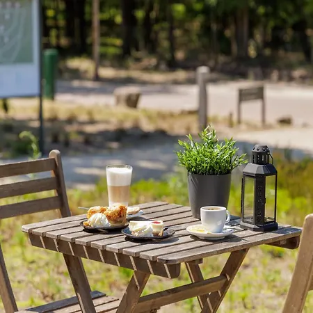 Nicely Furnished With Dishwasher, In De Veluwe *