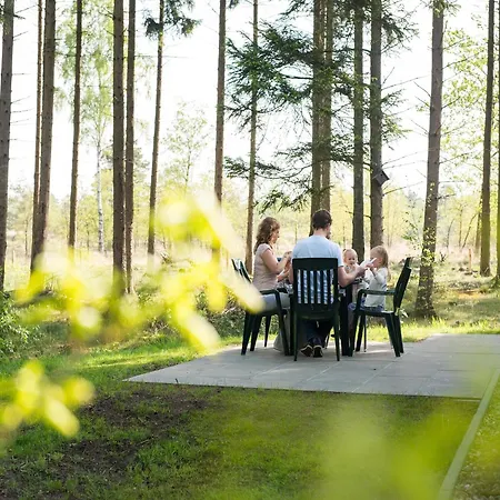 Holiday home Nicely Furnished With Dishwasher, In De Veluwe Hoenderloo