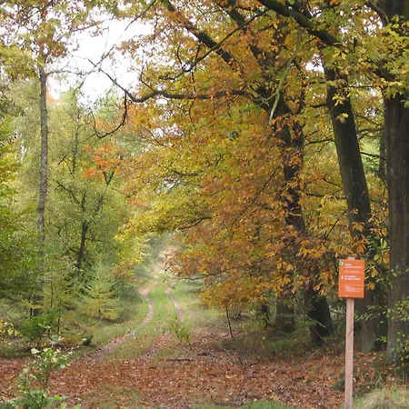 Nicely Furnished With Dishwasher, In De Veluwe Holiday home *